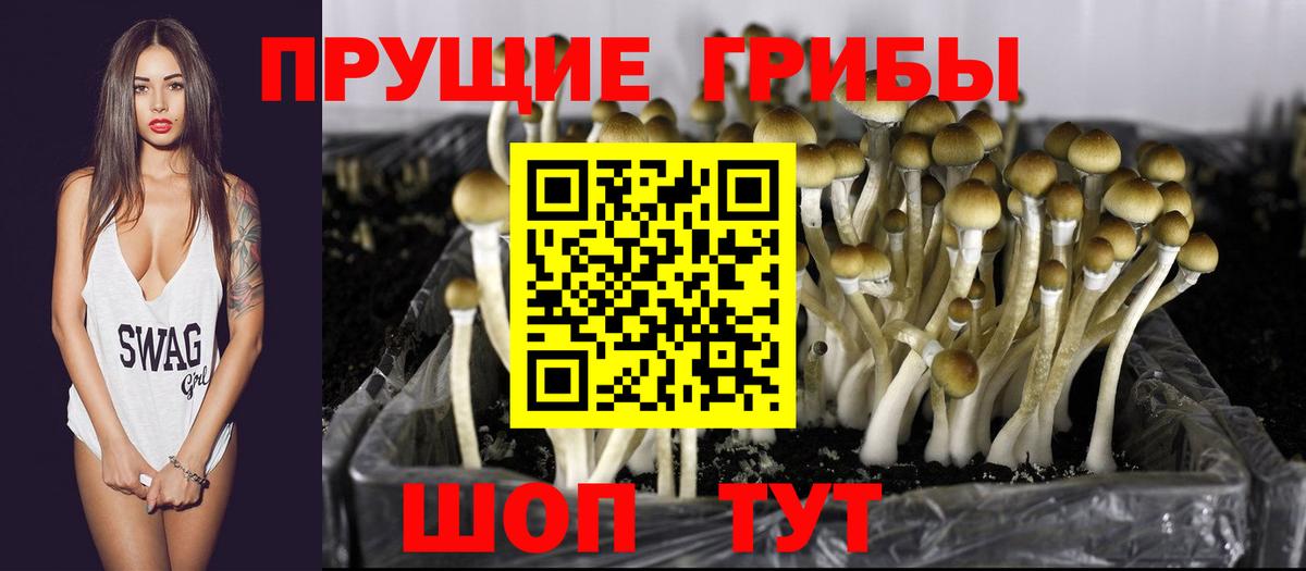 Спасск-Дальний  Псилоцибиновые грибы мицелий  Галлюциногенные грибы ЛСД  Вход с VPN 